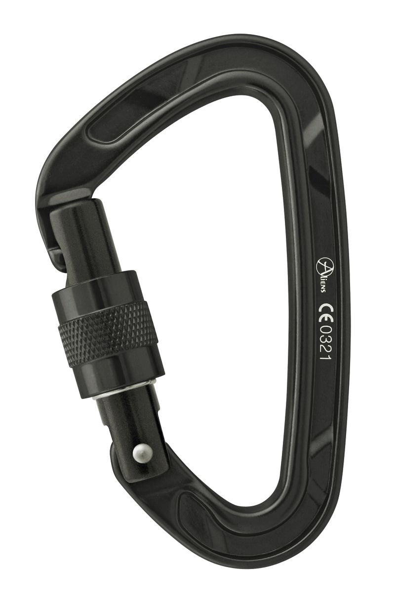 Karabiner D Screw Classic
